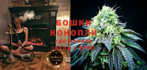 тгк Лиски