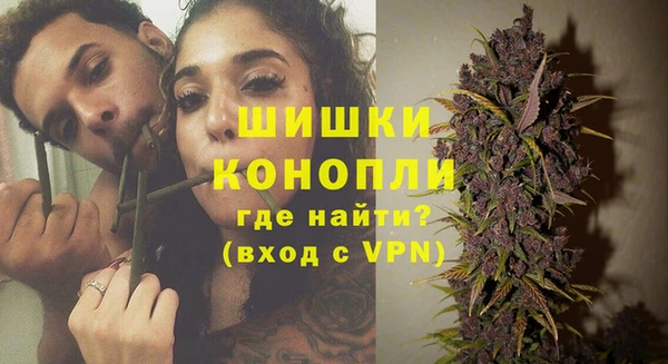 тгк Лиски