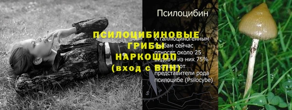 мяу мяу кристалл Лихославль