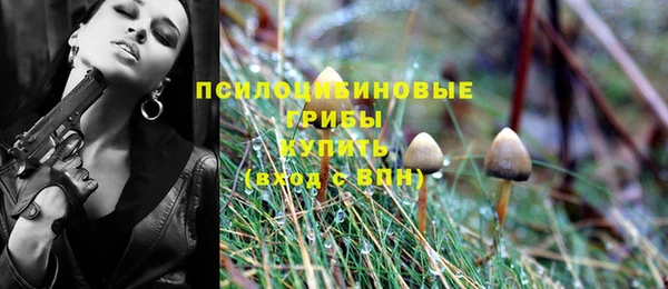 мяу мяу кристалл Лихославль