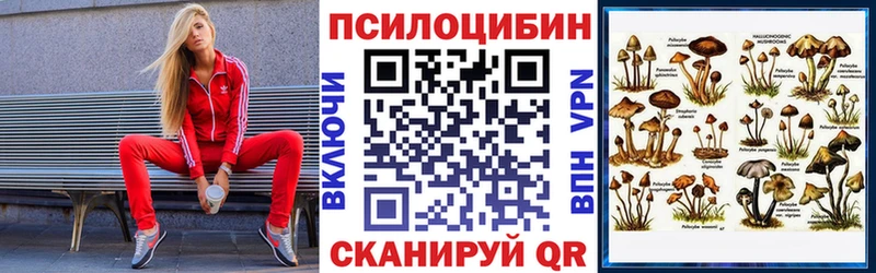 Галлюциногенные грибы Psilocybine cubensis  Питкяранта 